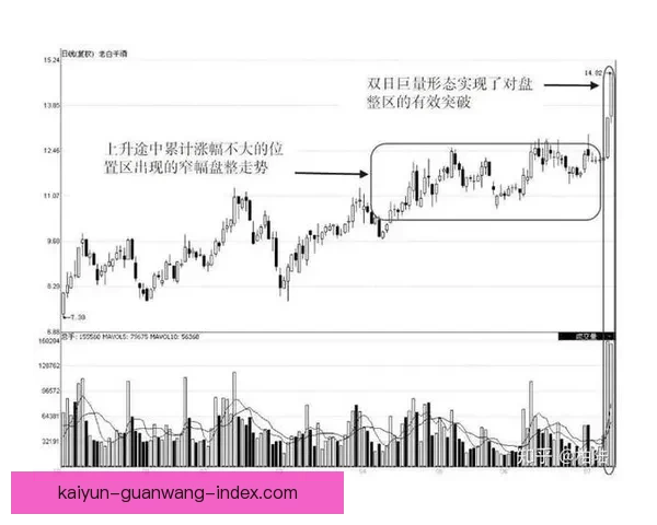 2026世界杯夺冠赔率持续震荡背后强队格局与黑马机会深度解析